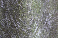 Wennington fibreglass roof work